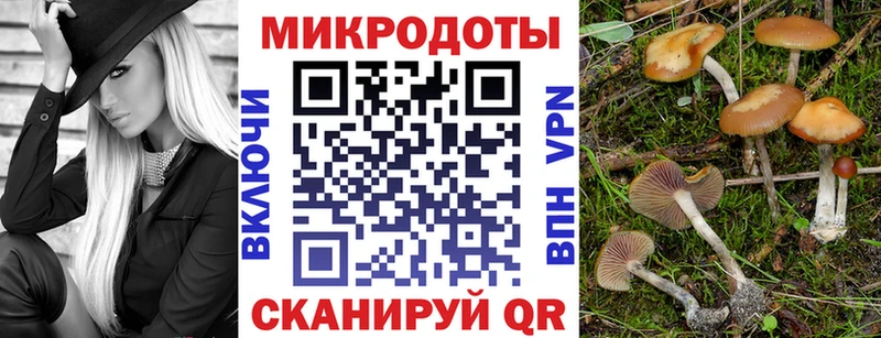 Псилоцибиновые грибы GOLDEN TEACHER  что такое   ОМГ ОМГ ссылка  Безенчук 